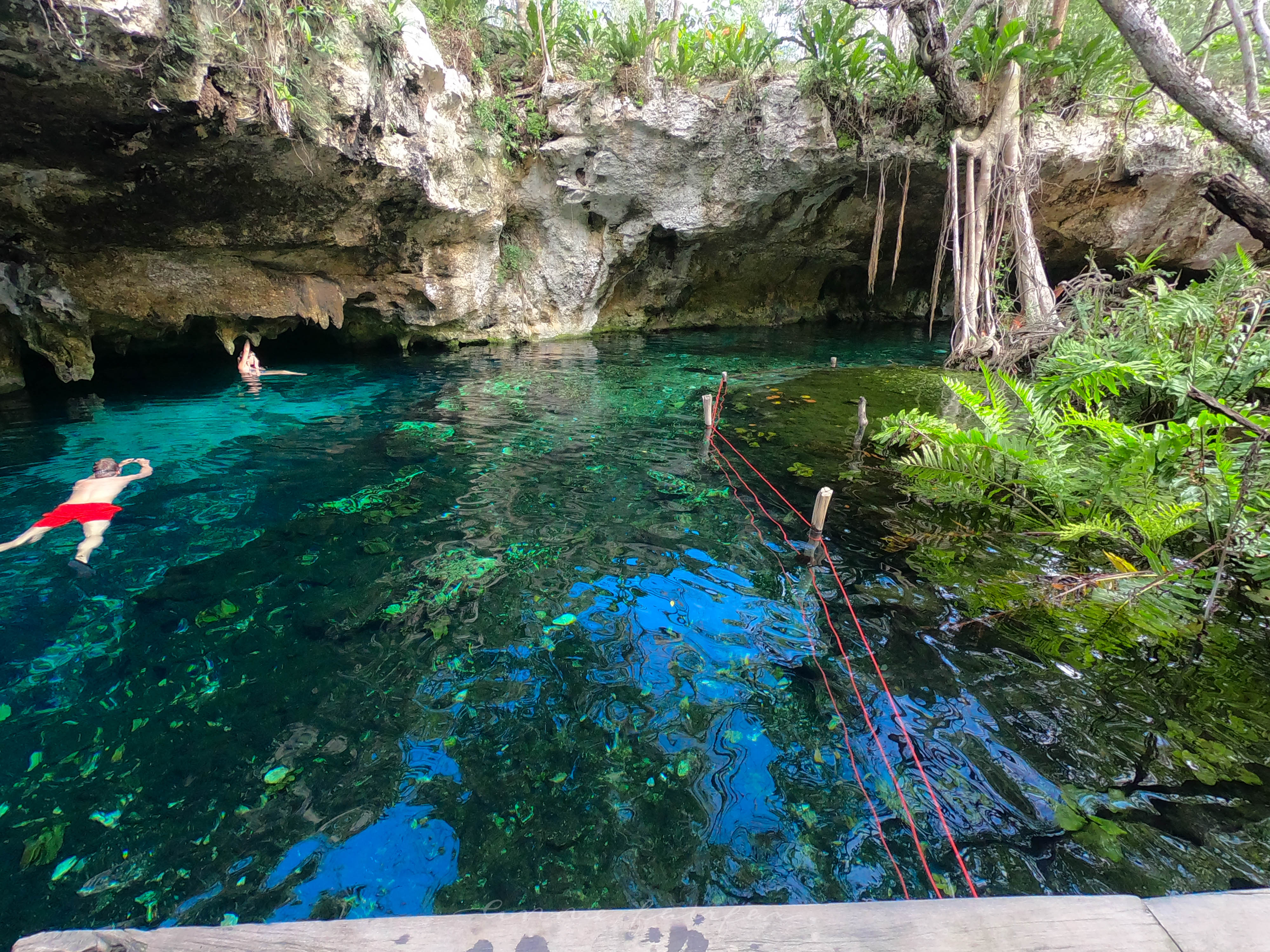 Gran Cenote Gran Cenote